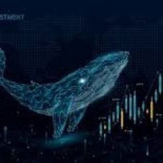 Telegram profile photo for حيتان للتداول 🐳❤️