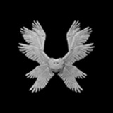 Telegram profile photo for no sell