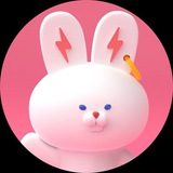 Telegram profile photo for DexRocket BunnyPark