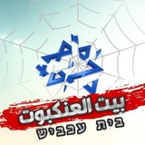 Telegram profile photo for بيت العنكبوت - Cobwebs