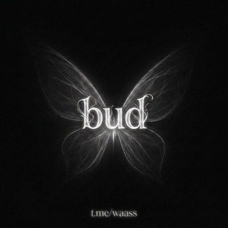 Telegram profile photo for Bud †