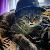 Telegram profile photo for none