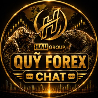 Telegram profile photo for Chat | QUỸ FOREX | HauGroup