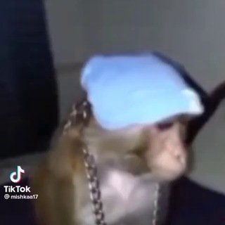 Telegram profile photo for 6️⃣СУЕТУ НАВЕСТИ ОХОТО5️⃣