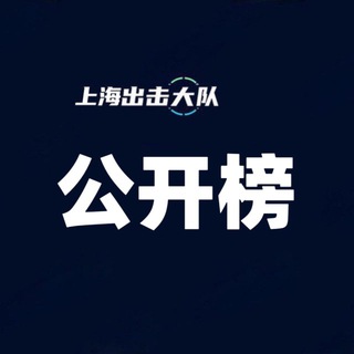 Telegram profile photo for 上海出击大队公开榜