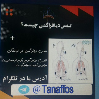 Telegram profile photo for کانال تخصصی آموزش حرفه ای تنفس اصولی ویژه خواننده ها و...