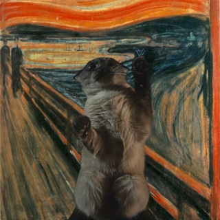 Telegram profile photo for Пал ма бийца