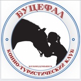 Telegram profile photo for Bucephal 🐎 Estate
