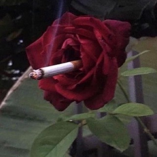 Telegram profile photo for sea & wine