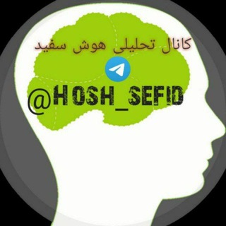 Telegram profile photo for سبدگردانی هوش سفید️
