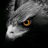 Telegram profile photo for ݺالبا(ᵃˡᵇᵃˢʰᵠ)ݺشق🦅🖤