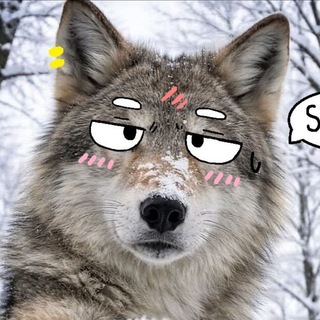 Telegram profile photo for Fluffo's Life 🐺