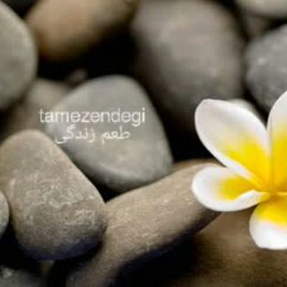 Telegram profile photo for طعم خوش زندگی
