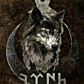 Telegram profile photo for Bozqurd qoşunu☪