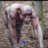 Telegram profile photo for SOL IS SHIT (GAMBLES)