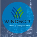 Telegram profile photo for Windsor