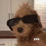 Telegram profile photo for мы будем делать бабки