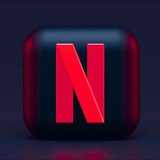 Telegram profile photo for Netflix Webseries HUB
