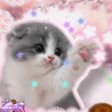 Telegram profile photo for ◌♡̼̻🥣 𝗸͡𝗮𝘄𝗮𝗶𝗶 𝘄𖦹ׅ𝗿𝗹𝗱ִ 🌈 𓈒 𐔌🥩 ͡꒱