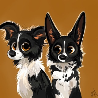 Telegram profile photo for Instructor's routine