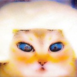 Telegram profile photo for харуми😠