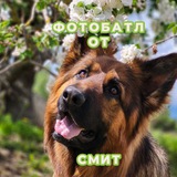 Telegram profile photo for Фотобатлы и конкурсы от Смит
