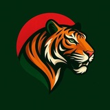 Telegram profile photo for RAIYAN