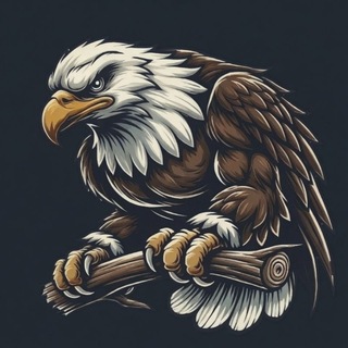 Telegram profile photo for 🦅
