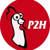 Telegram profile photo for P2H 🐓