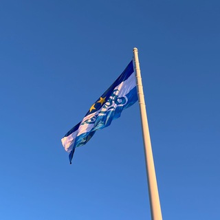 Telegram profile photo for Много больше