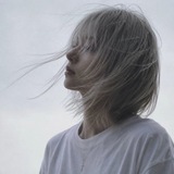 Telegram profile photo for 权的朋友圈