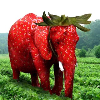 Telegram profile photo for REAL Strawberry Elephant (Entry Portal)