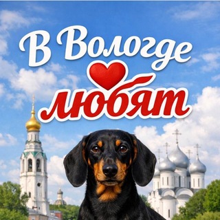 Telegram profile photo for В Вологде любят