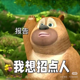 Telegram profile photo for 远程/到岗技术招聘求职IT群