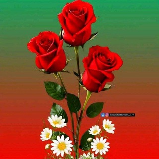 Telegram profile photo for My🎵Center5369🏆🏆0821