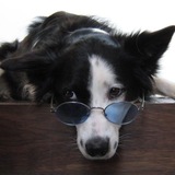 Telegram profile photo for numb :P