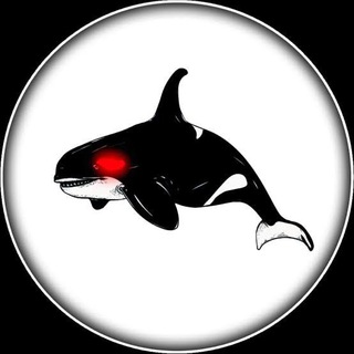 Telegram profile photo for PRE_SAIE_AND_AFTER_SAIE_PROFIT