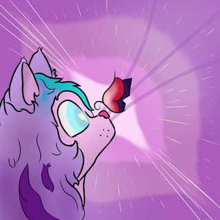 Telegram profile photo for Toquinha Celestial ❤️🦋