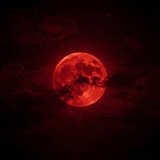 Telegram profile photo for Отзывы рекламодателей