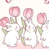 Telegram profile photo for لورین اکسسوری🎀
