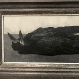 Telegram profile photo for Coffins & tomb.