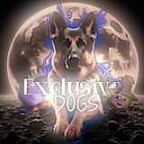 Telegram profile photo for Exclusive dogsᴼᶠᶠ(ушли на новый тгк!!)