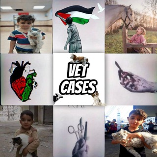 Telegram profile photo for vet cases