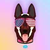 Telegram profile photo for MajorDogeANN