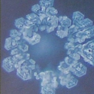 Telegram profile photo for insNeueMenschSein