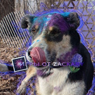 Telegram profile photo for игры от zackary
