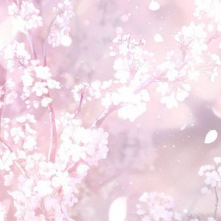 Telegram profile photo for Связь,лс,инфо