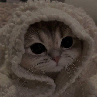 Telegram profile photo for NIGHT SNOW | 9s9