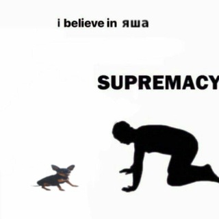 Telegram profile photo for яша яндере саша цундере