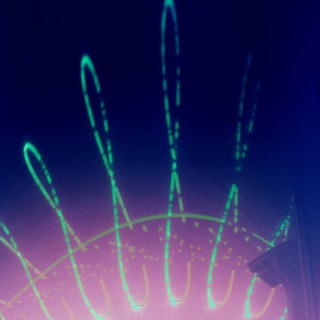 Telegram profile photo for The Wise Fools Society